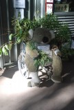 Koala voor de deur bij het ziekenhuis