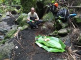Lunch in de jungle