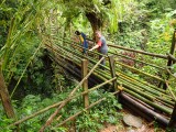 Op de bamboebrug in de jungle