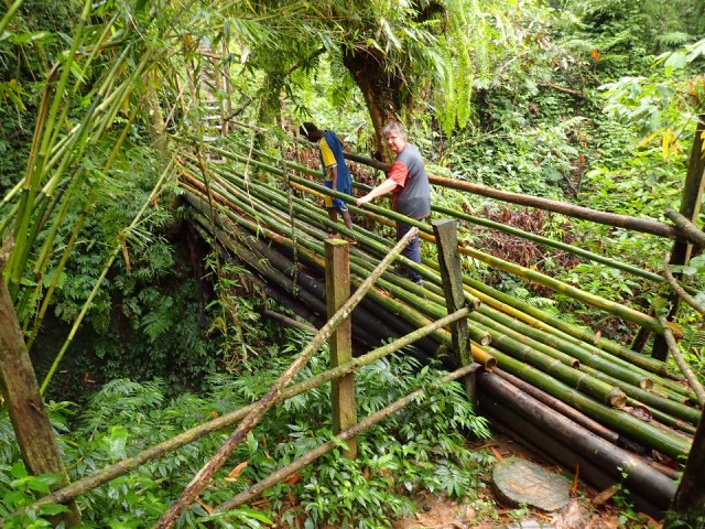 Op de bamboebrug in de jungle