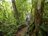 In de jungle