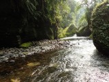 De kloof in