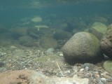 bodem van de kloof (onder water)