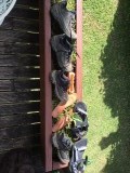 Schoenen zijn schoon geborsteld en liggen verder te drogen na de Millenium Cave