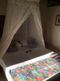 Nieuw nestje