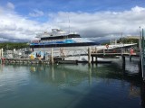 De boot Quicksilver 5
