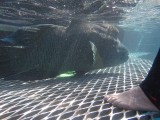 Great Barrier Reef