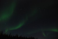 Noorderlicht