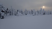 Sneeuw