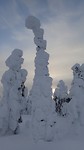 Sneeuw
