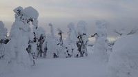 nog meer sneeuw