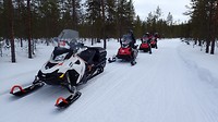 Alle scooters