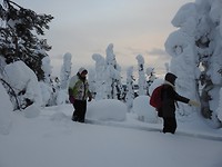 Sneeuwschoen wandelen