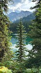 Mount Fernie Provincial Park