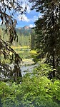 Mount Fernie Provincial Park