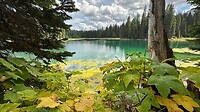 Mount Fernie Provincial Park