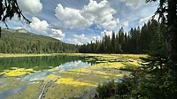 Mount Fernie Provincial Park