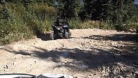 Buggy tour