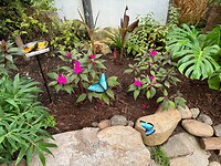 Vlindertuin in Coombs