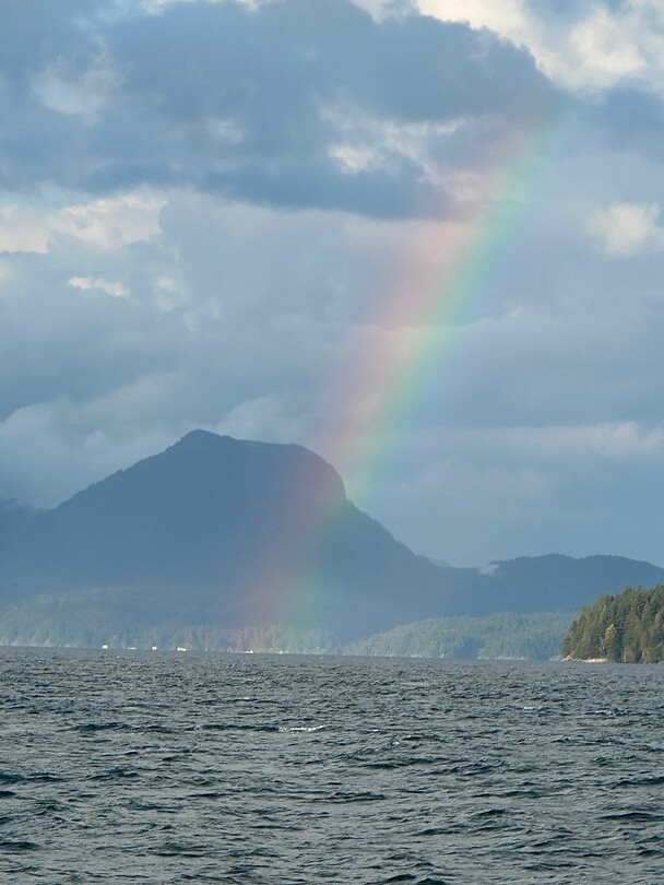 Regenboog