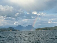 Regenboog