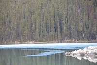 DSC_0130 (2)
