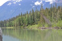 DSC_0264 (2)