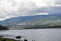 DSC_0391