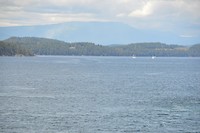 DSC_0426 (2)