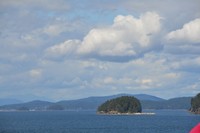 DSC_0429 (2)