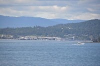 DSC_0432