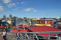DSC_0437