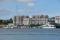 DSC_0441