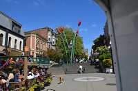 DSC_0449