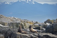 DSC_0543 (2)