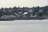 DSC_0549 (2)