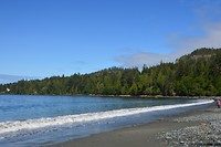 DSC_0559