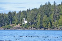 DSC_0562 (2)