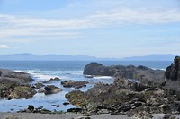 DSC_0573 (2)