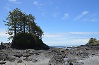 DSC_0577