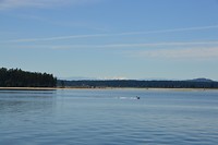 DSC_0608