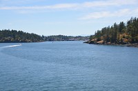 DSC_0618