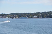 DSC_0619