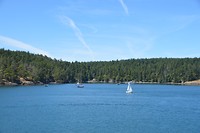 DSC_0623