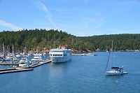 DSC_0624