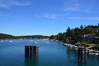 DSC_0629