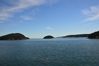 DSC_0633