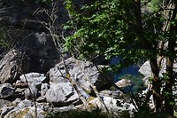 DSC_0661