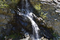 DSC_0695