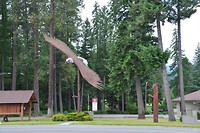 DSC_0823 (2)